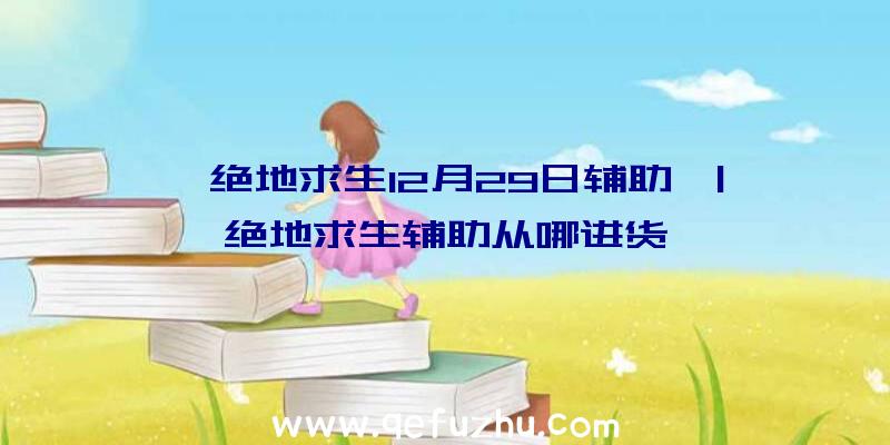 「绝地求生12月29日辅助」|绝地求生辅助从哪进货